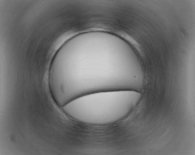 X0000114191423200910091019