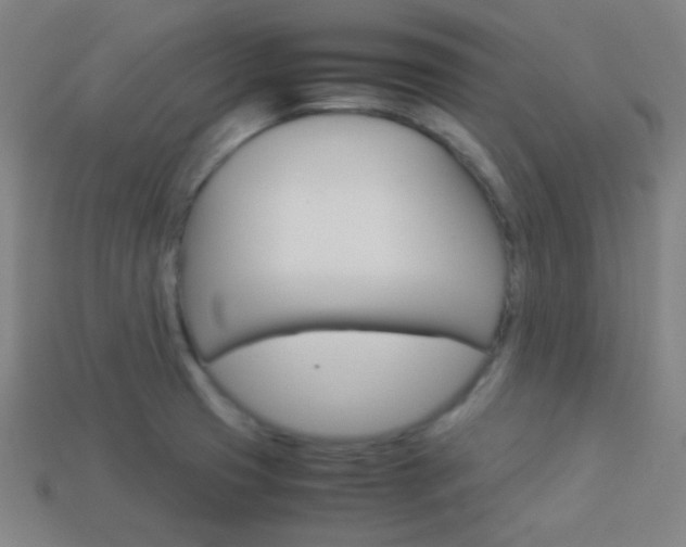 X0000114191425200910091019