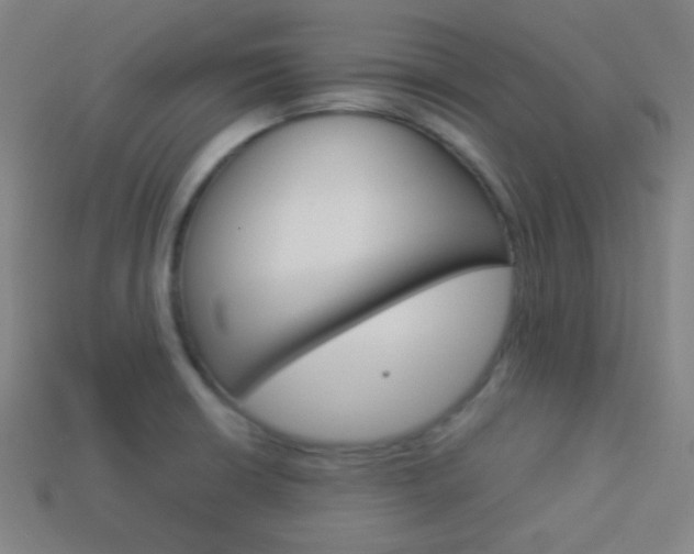 X0000114191426200910091019