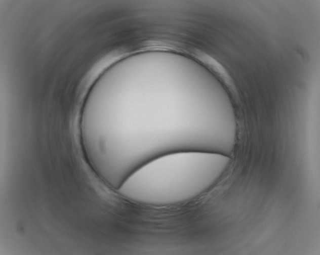 X0000114191427200910091019