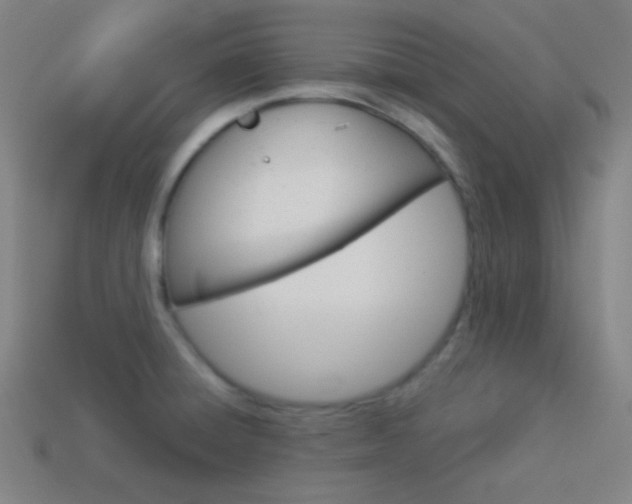 X0000114191428200910091019