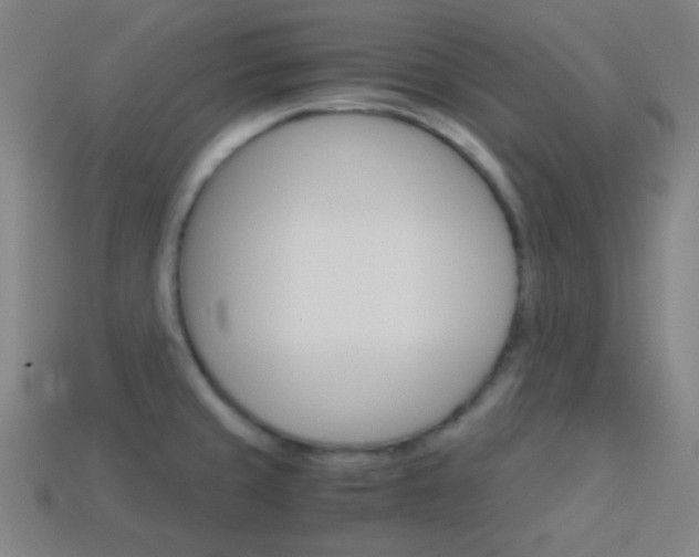 X0000114191429200910091019
