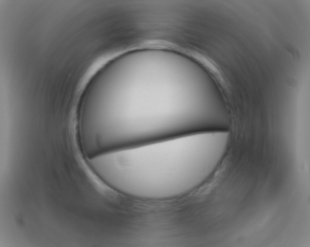 X0000114191430200910091019
