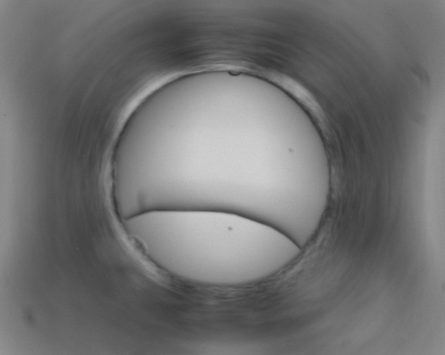 X0000114191431200910091019