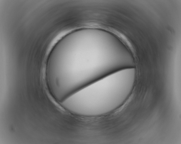 X0000114191432200910091019