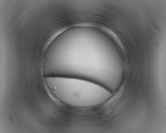 X0000114191433200910091019