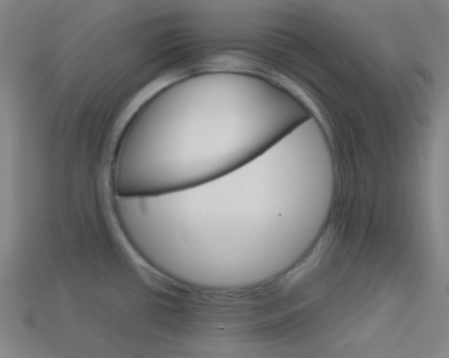 X0000114191434200910091019