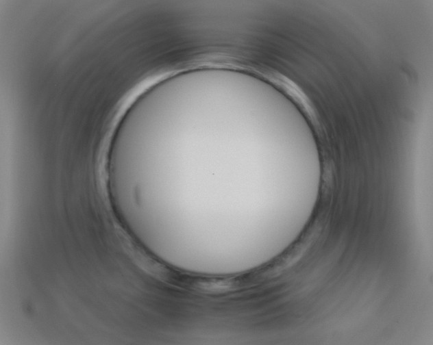 X0000114191435200910091019