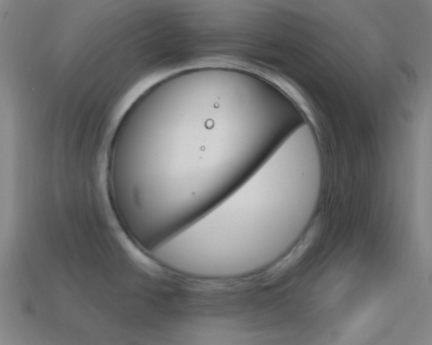 X0000114191438200910091019