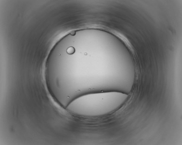 X0000114191439200910091019