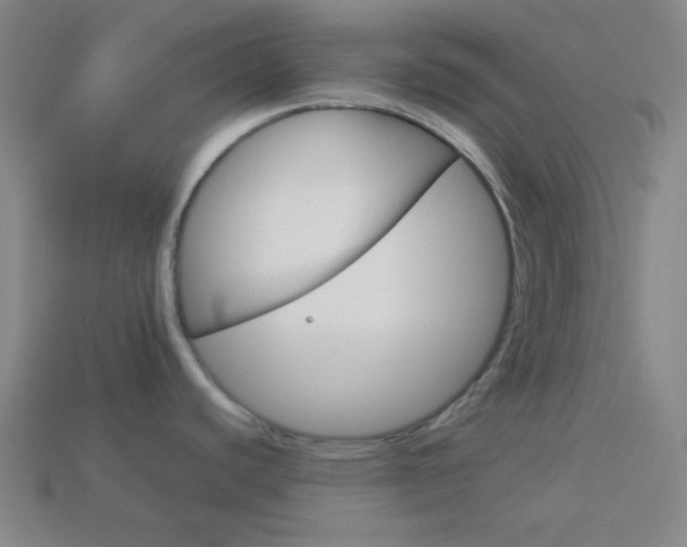 X0000114191440200910091019