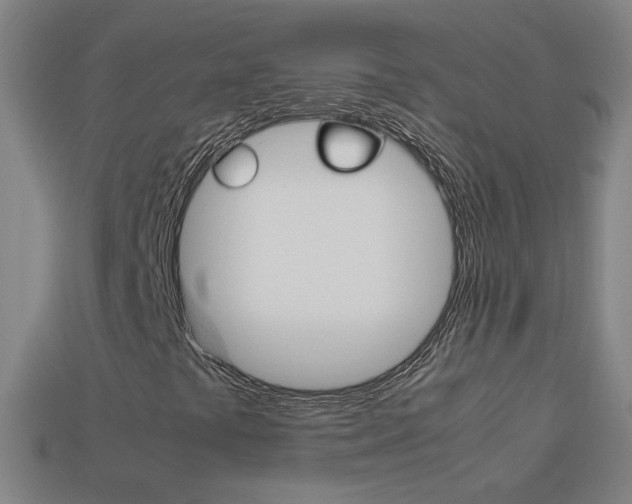 X0000114191441200910091018