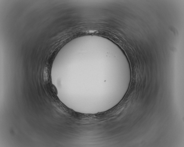 X0000114191442200910091018
