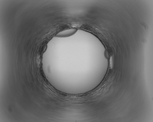 X0000114191443200910091018