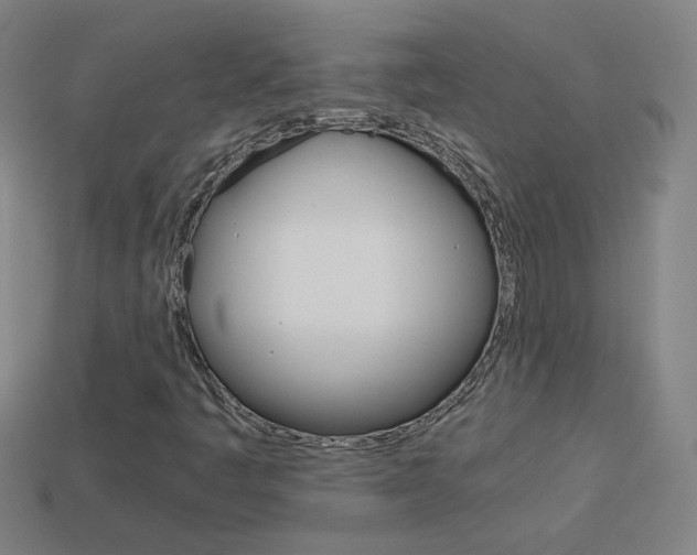 X0000114191445200910091018
