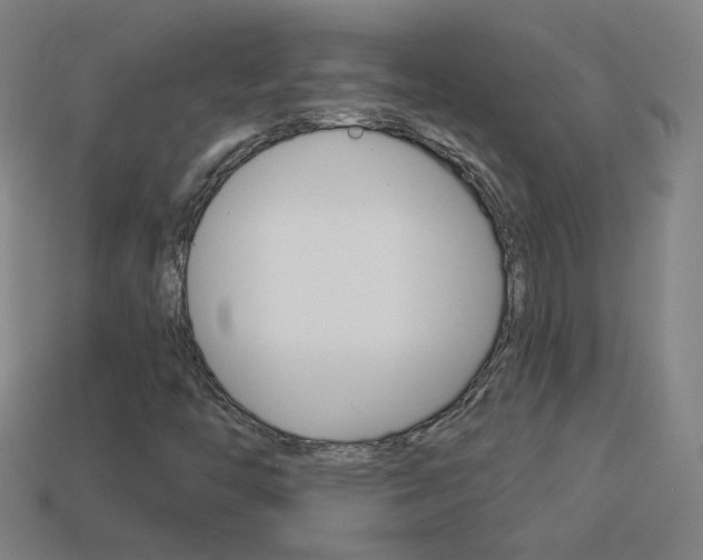 X0000114191446200910091018