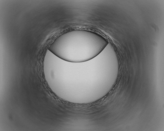 X0000114191447200910091018
