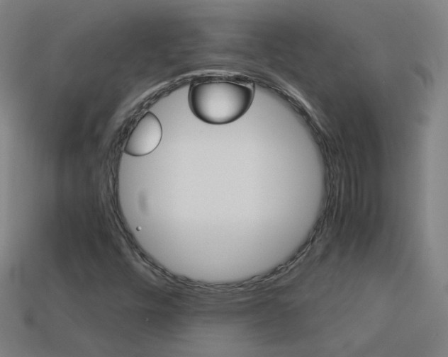X0000114191448200910091018