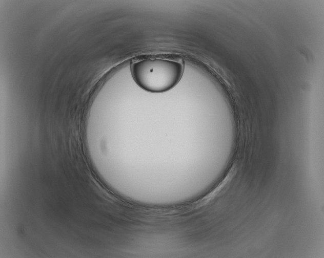 X0000114191449200910091018