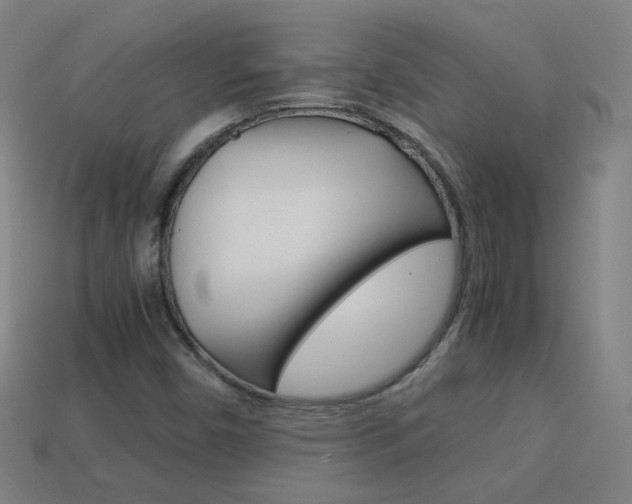 X0000114191450200910091018