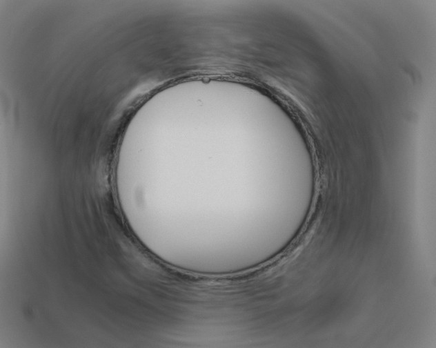 X0000114191451200910091018