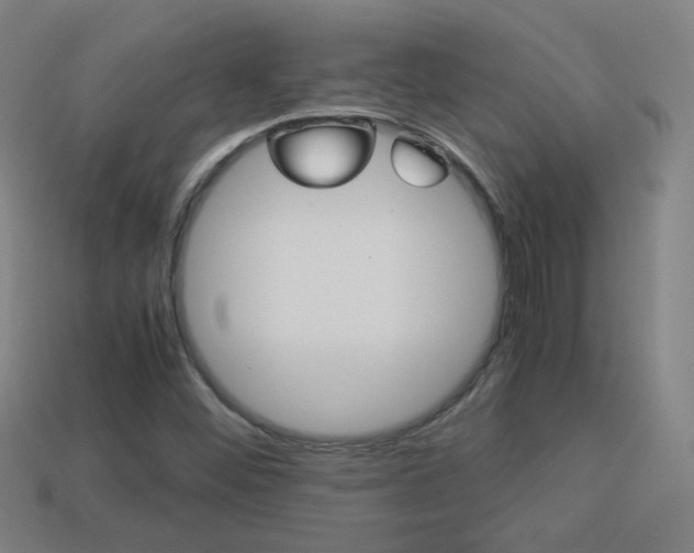 X0000114191452200910091018