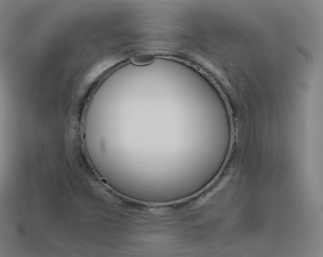 X0000114191453200910091018