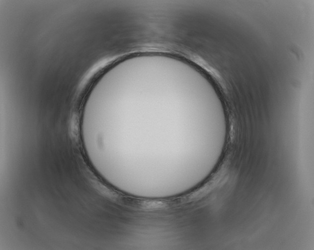 X0000114191454200910091018