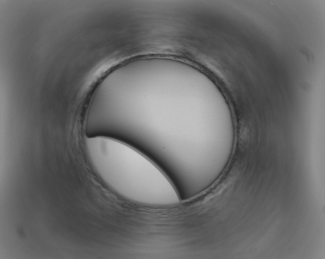 X0000114191455200910091018