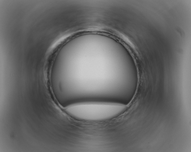 X0000114191456200910091018