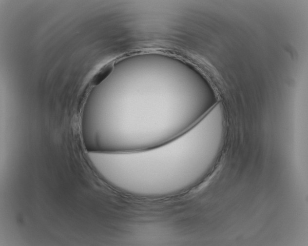 X0000114191457200910091018