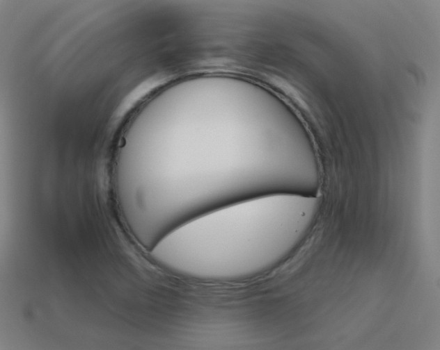 X0000114191458200910091018