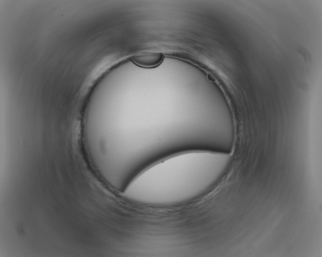 X0000114191459200910091018