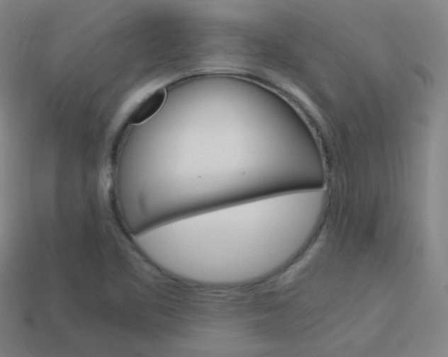 X0000114191461200910091018