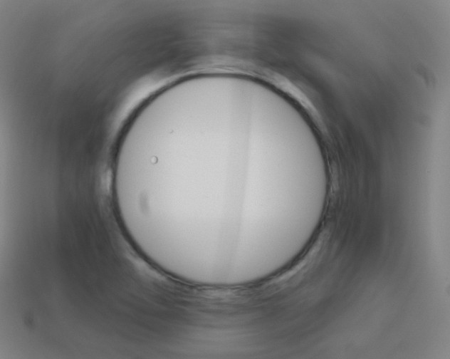 X0000114191462200910091018