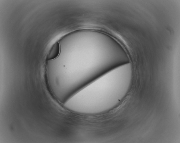 X0000114191463200910091018
