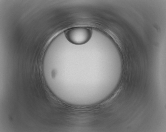 X0000114191465200910091018