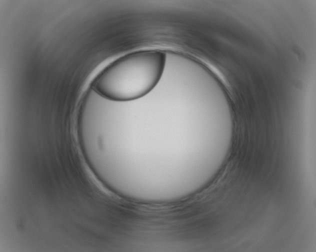 X0000114191468200910091018
