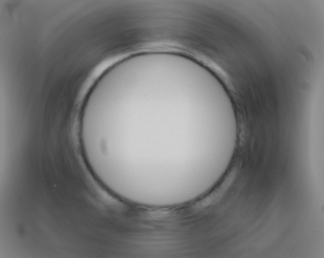 X0000114191470200910091018