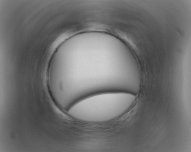X0000114191471200910091018
