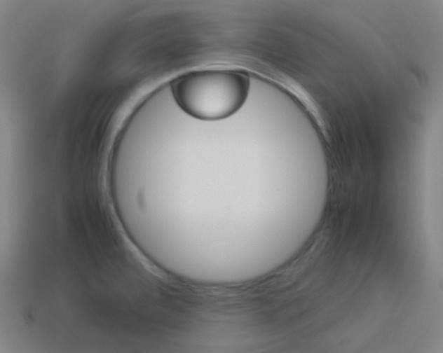 X0000114191472200910091018