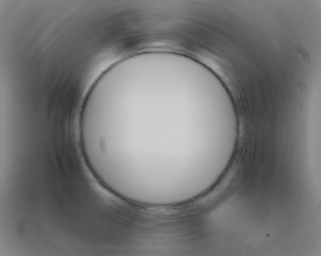 X0000114191474200910091018