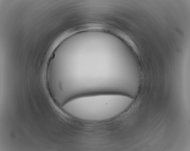 X0000114191475200910091018