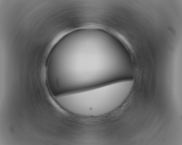 X0000114191476200910091018