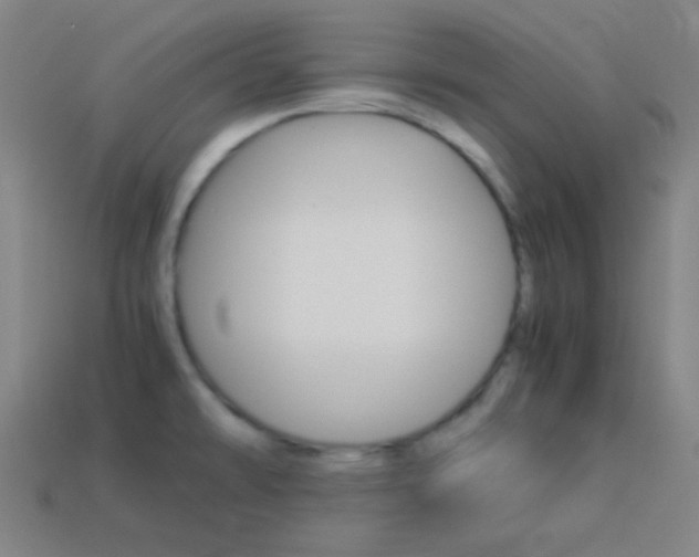 X0000114191478200910091018