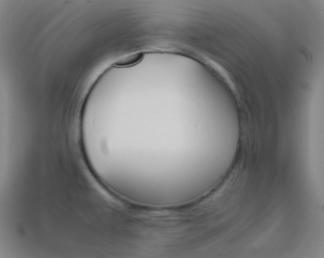 X0000114191479200910091018