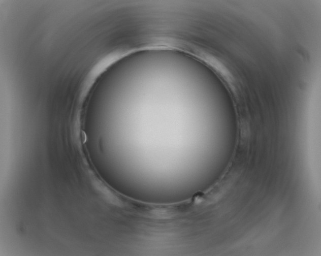 X0000114191480200910091018