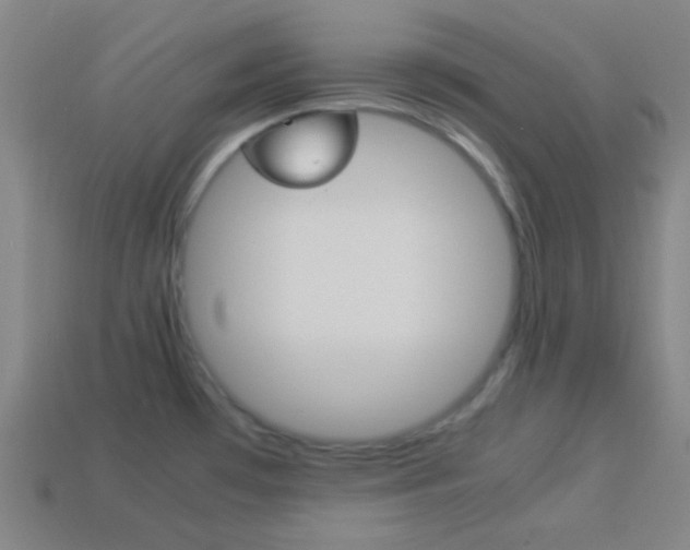 X0000114191481200910091018