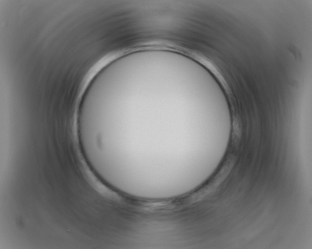 X0000114191482200910091018