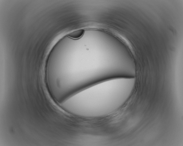 X0000114191483200910091018